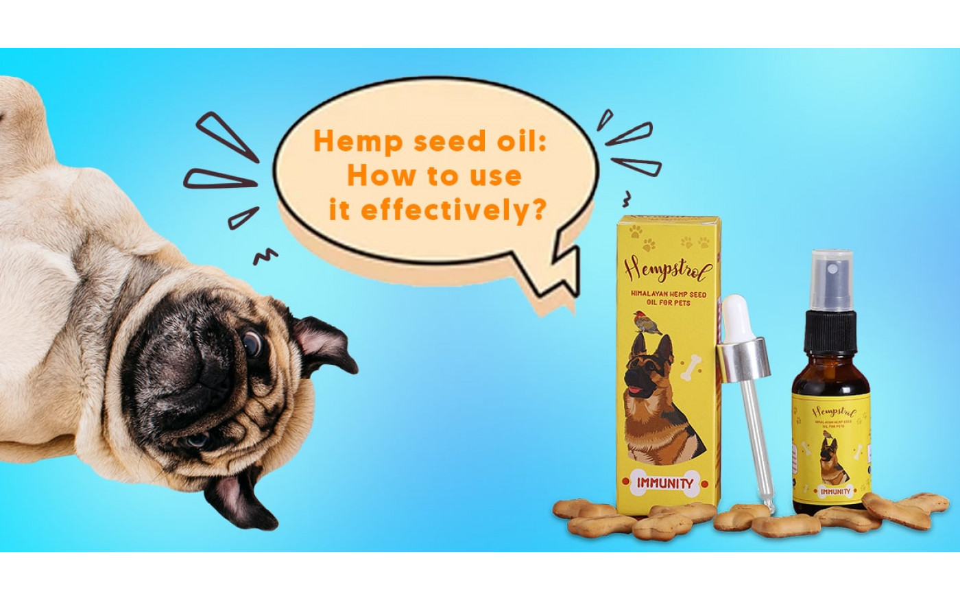 Artistic Can Dogs Have Black Seed Oil Image Nature Artistic Can Dogs Have Black Seed Oil Image Nature